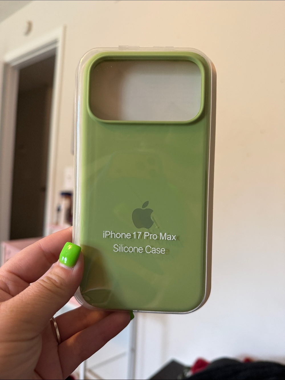 Apple iPhone 17 Pro Max Silicone Case - Mint Green